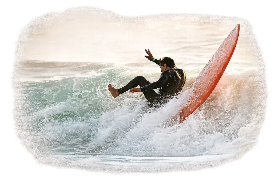 fornitore accessori surf btb