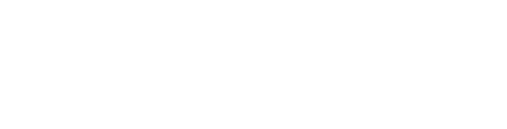 logo holy sport bianco